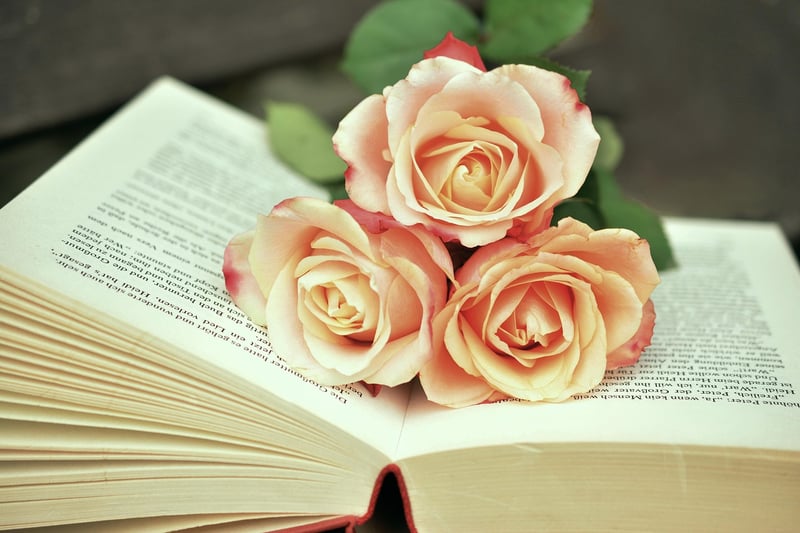 Books Image
